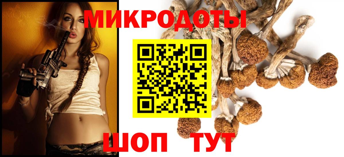 Псилоцибиновые грибы Cubensis  Вход с VPN  Каменск-Шахтинский 