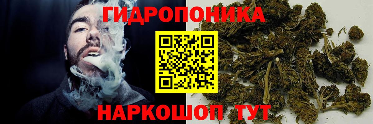 Каменск-Шахтинский  Шишки марихуана тримм  Бошки марихуана планчик  Вход с VPN  Конопля семена 